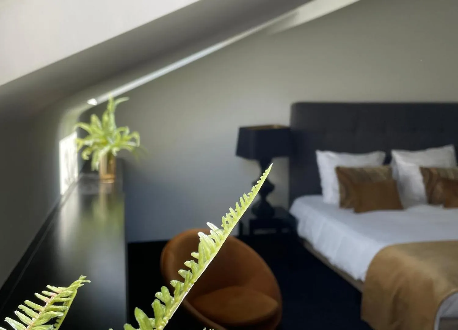 B In Antwerp Bed & Breakfast Belgium